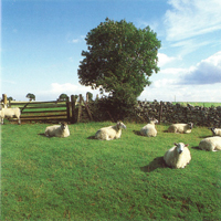 KLF - Chill Out - 
