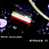 Pete Namlook - 4 Voice 2 - 