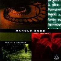 Harold Budd & Zeitgeist - She Is A Phantom - 