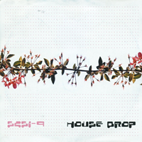 SCSI 9 - House Drop - 
