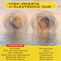 VA - High Priests Of Electronic Dub - 