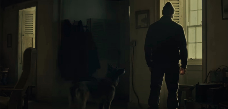 ���� �� ������ �Shelter�