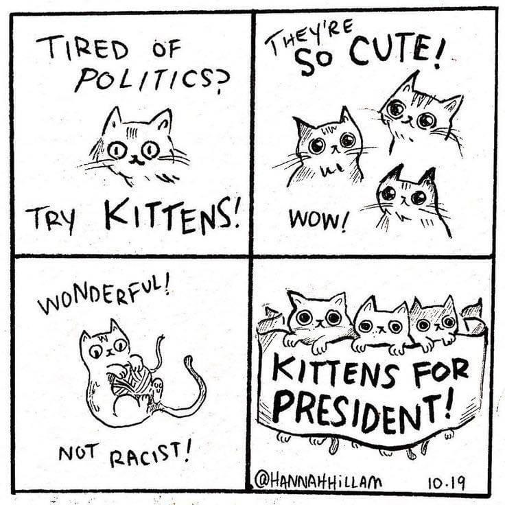 Kittens for president
