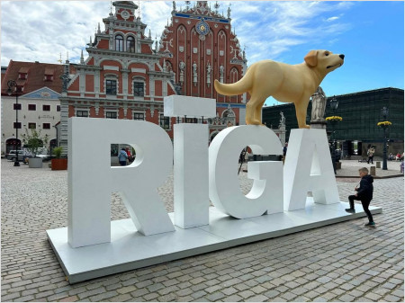 Riga — Flow — 