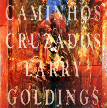 Larry Goldings — Caminhos Cruzados обложка