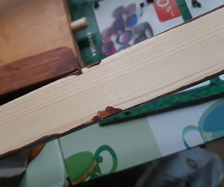 ����-��������� �����